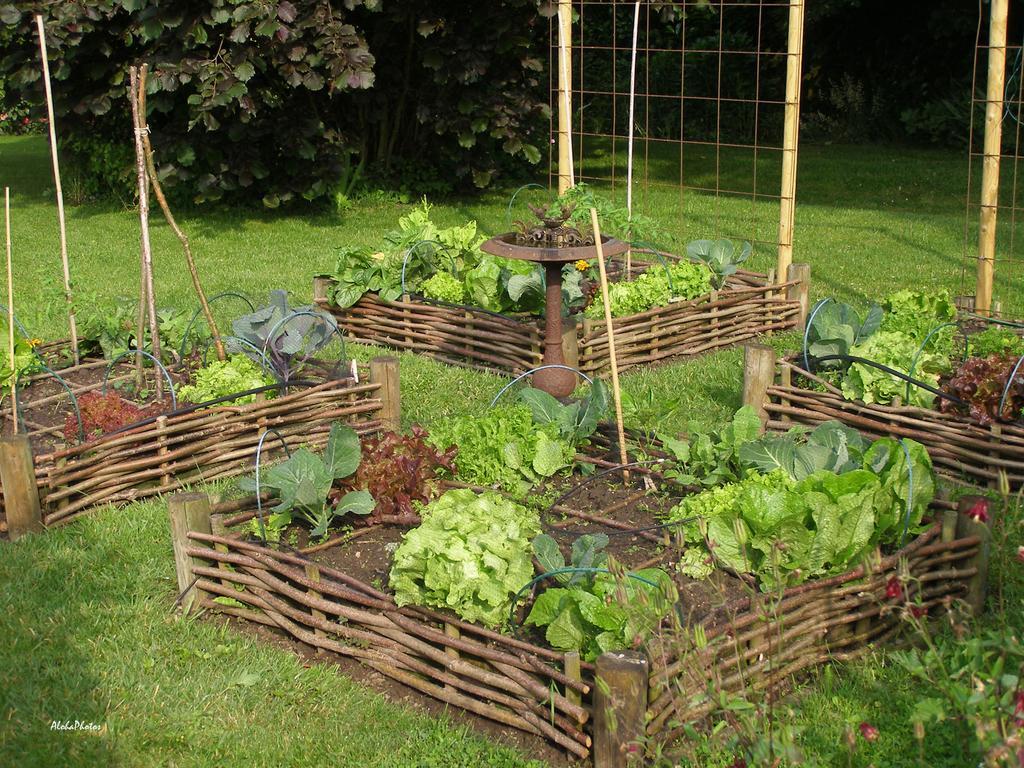 Gite Des Hortillonnages Camon  Exterior photo