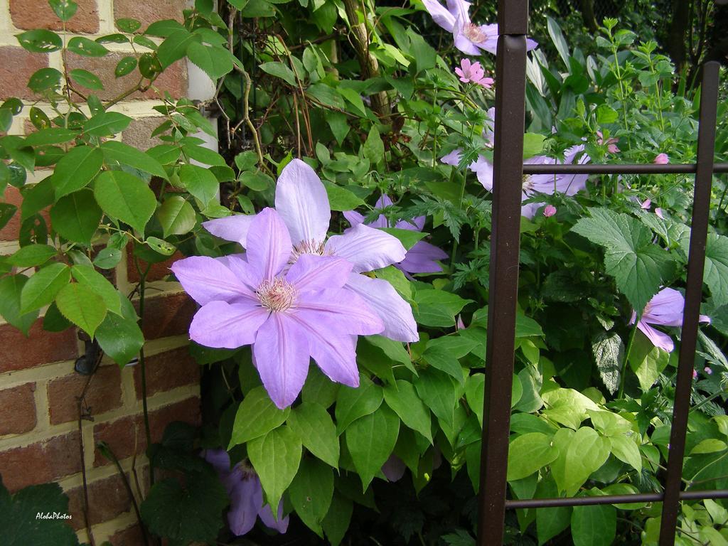 Gite Des Hortillonnages Camon  Exterior photo